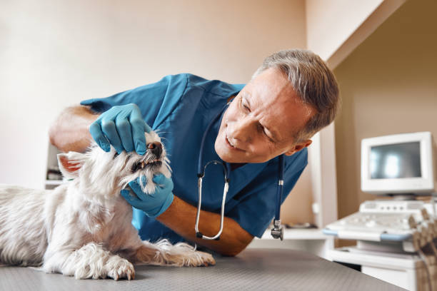 Best Emergency Broken Tooth Repair in Baltic, CT